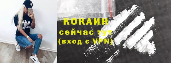 не бодяженный Новодвинск
