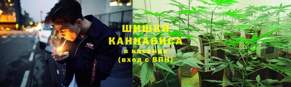не бодяженный Новодвинск