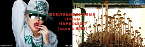 не бодяженный Новодвинск